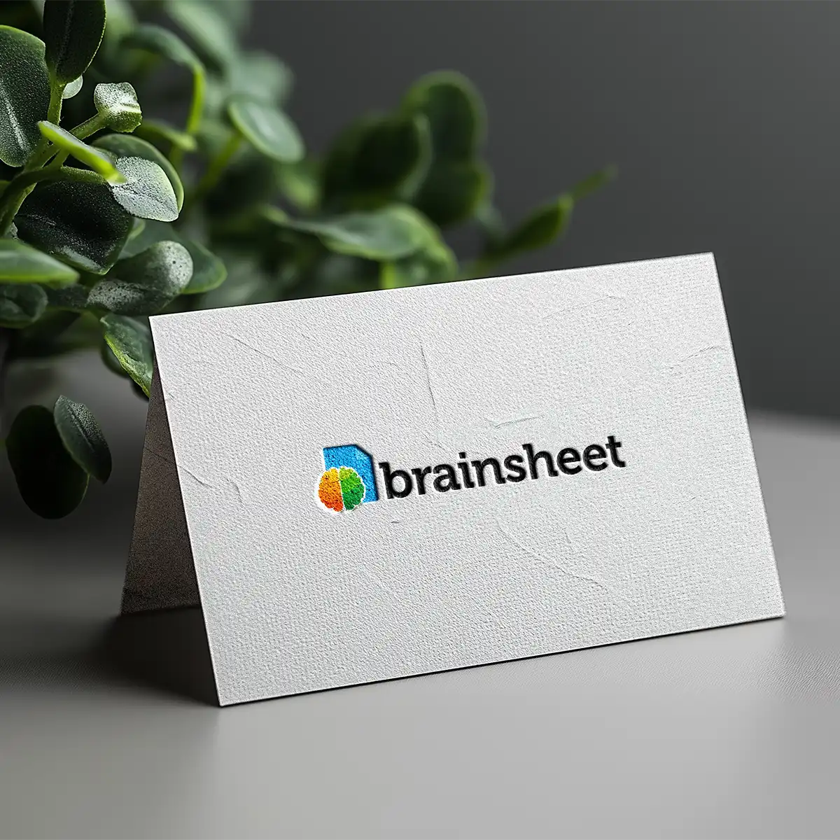 brainsheet.com