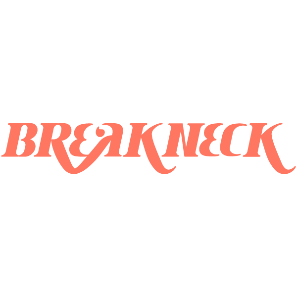 Breakneck.ai