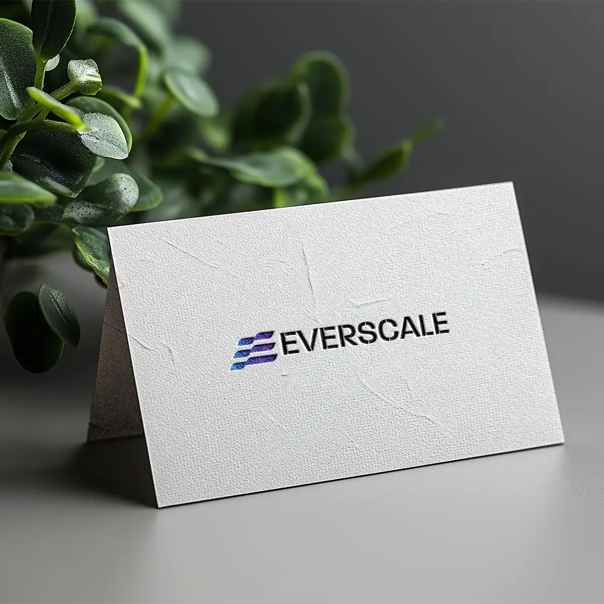 everscale.ai