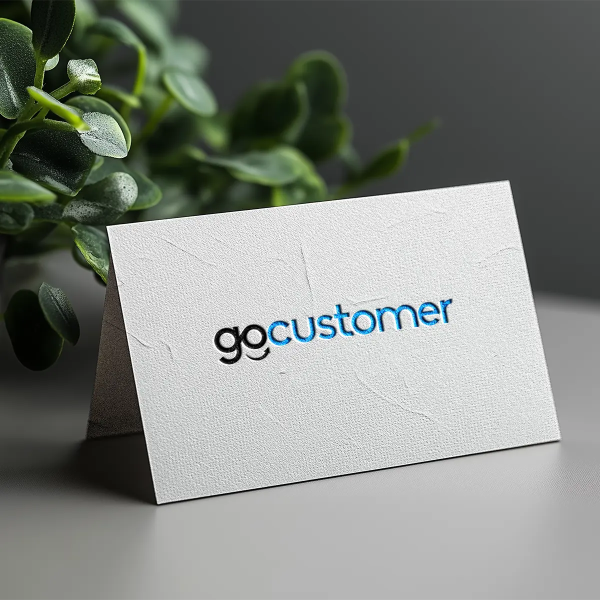 gocustomer.com