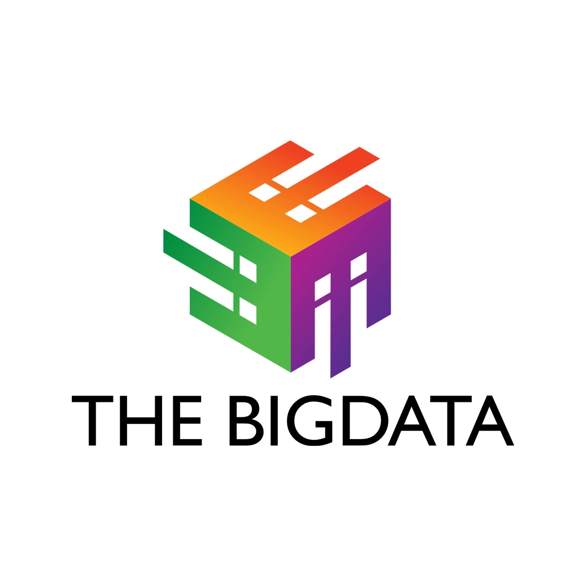 THEBIGDATA.COM