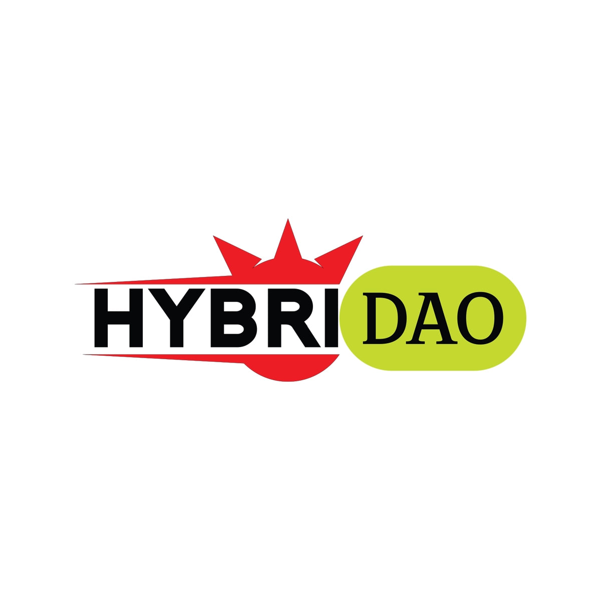 hybridao.com