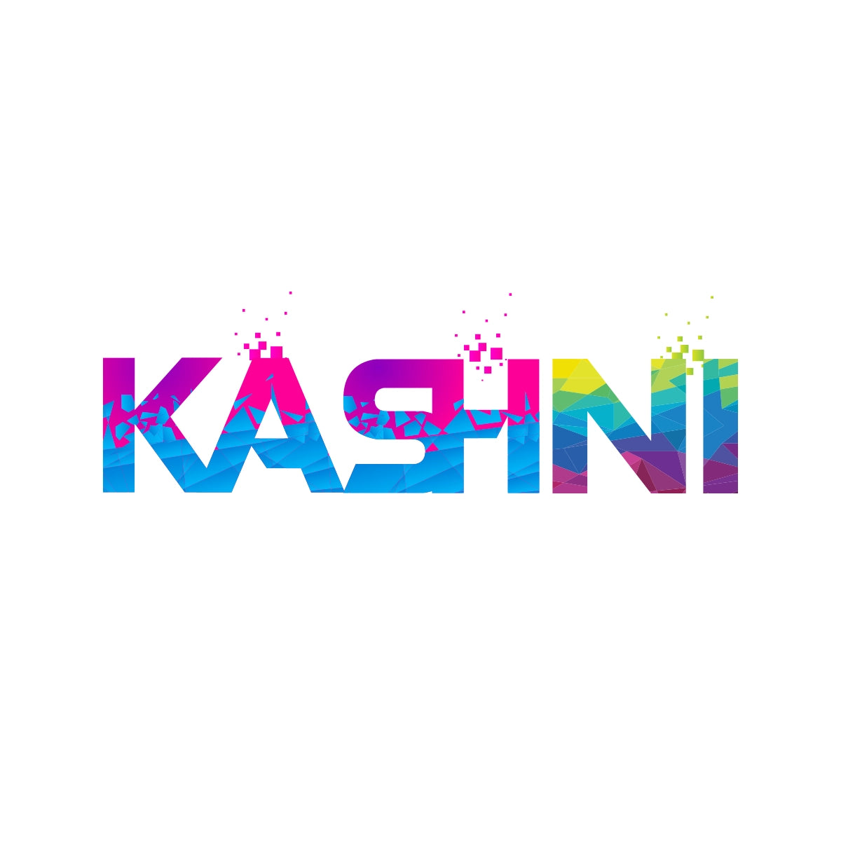 kashni.com