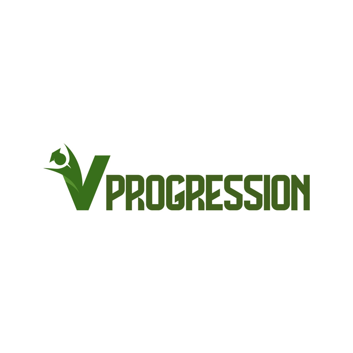 vprogression.com
