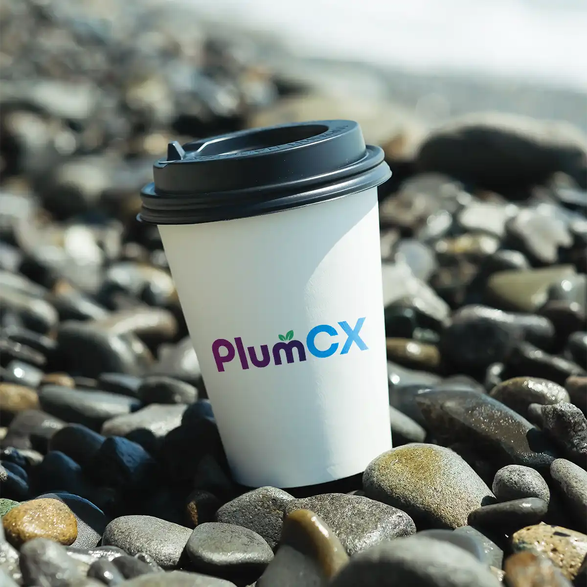 plumcx.com