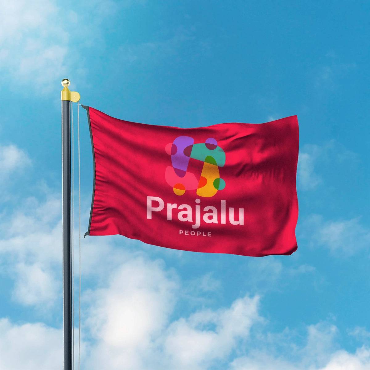 prajalu.com