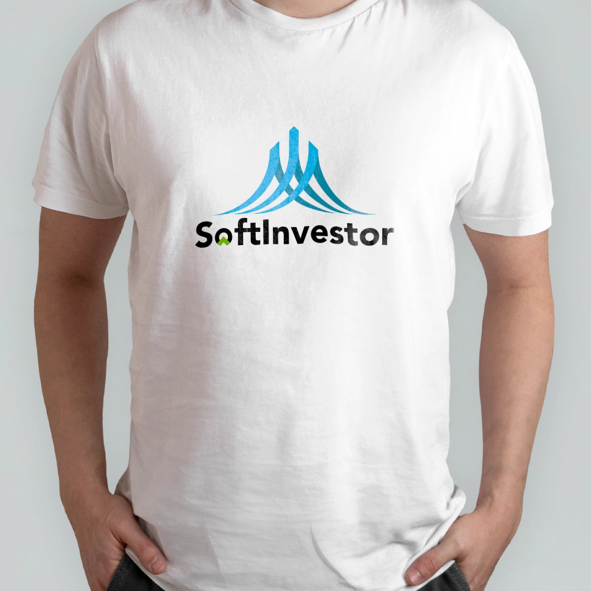softinvestor.com