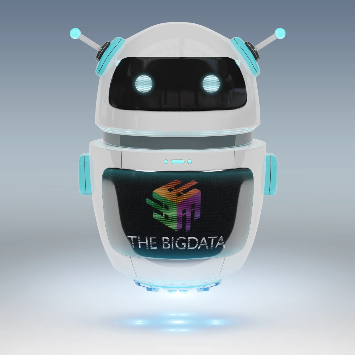 THEBIGDATA.COM
