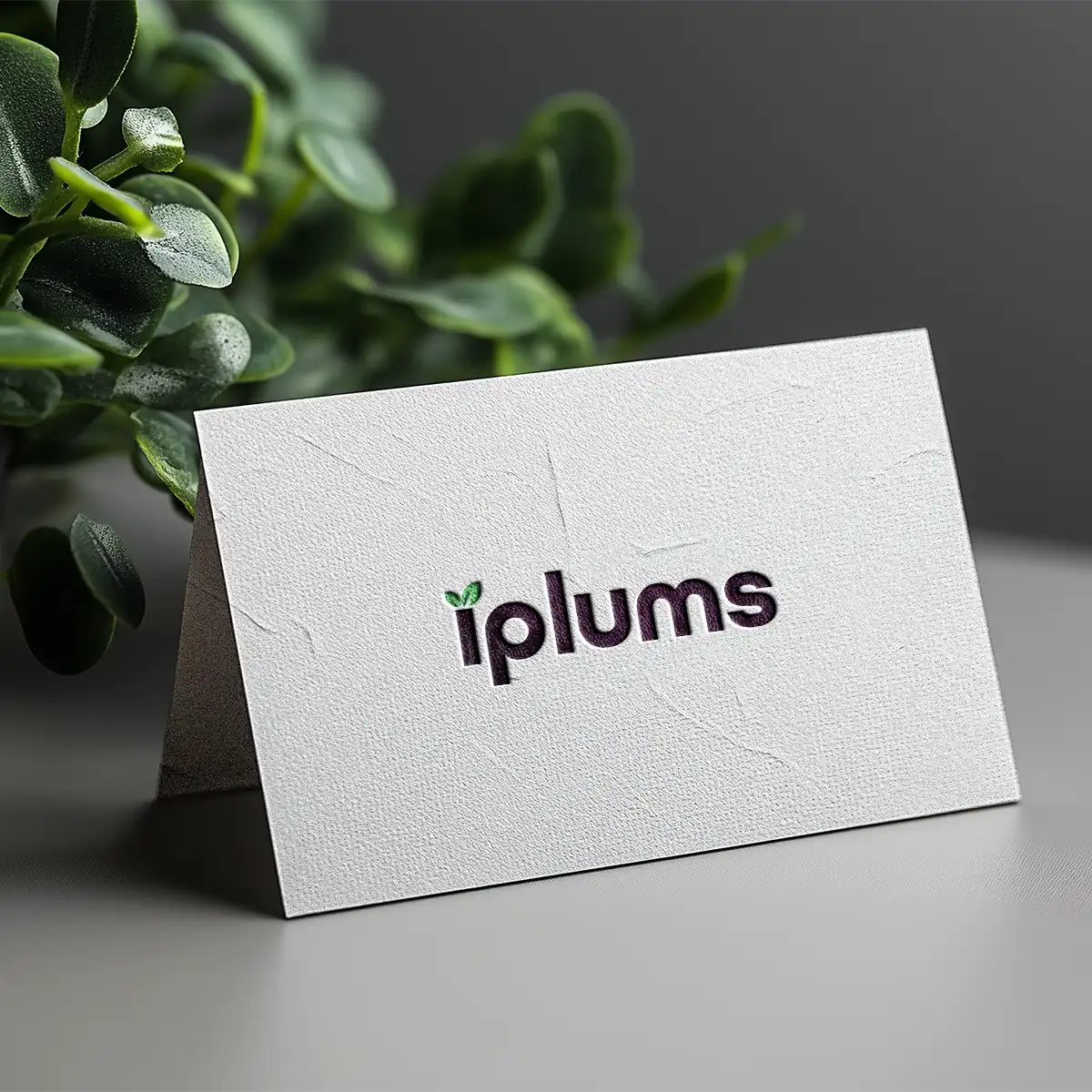 iplums.com