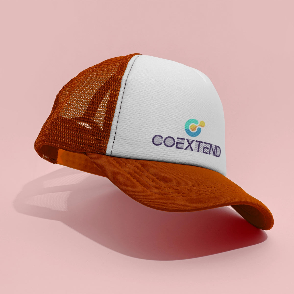 coextend.com