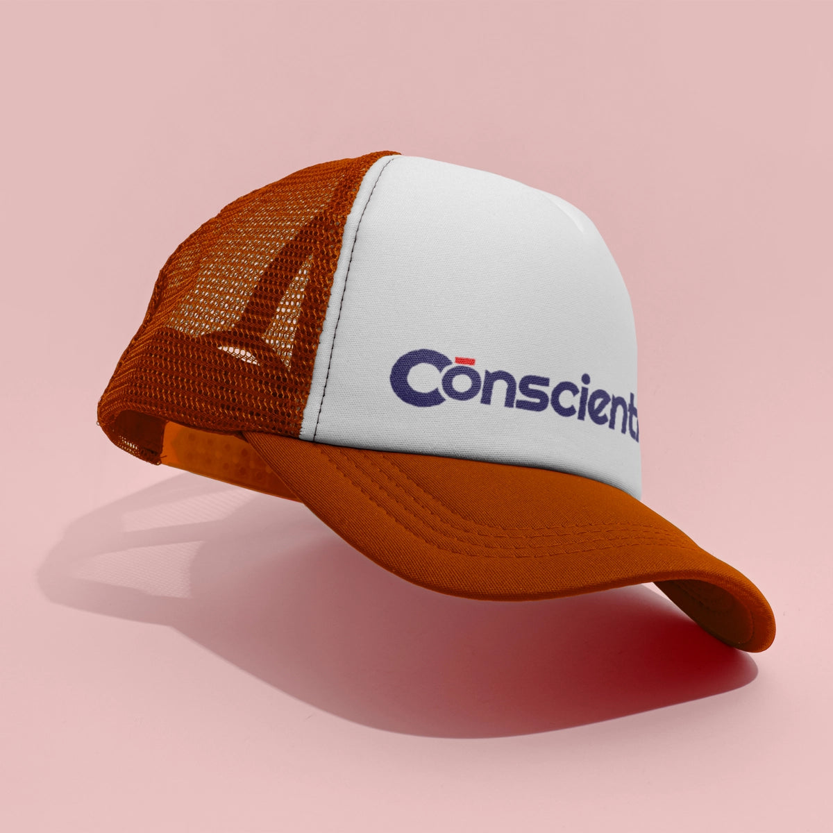conscienti.com