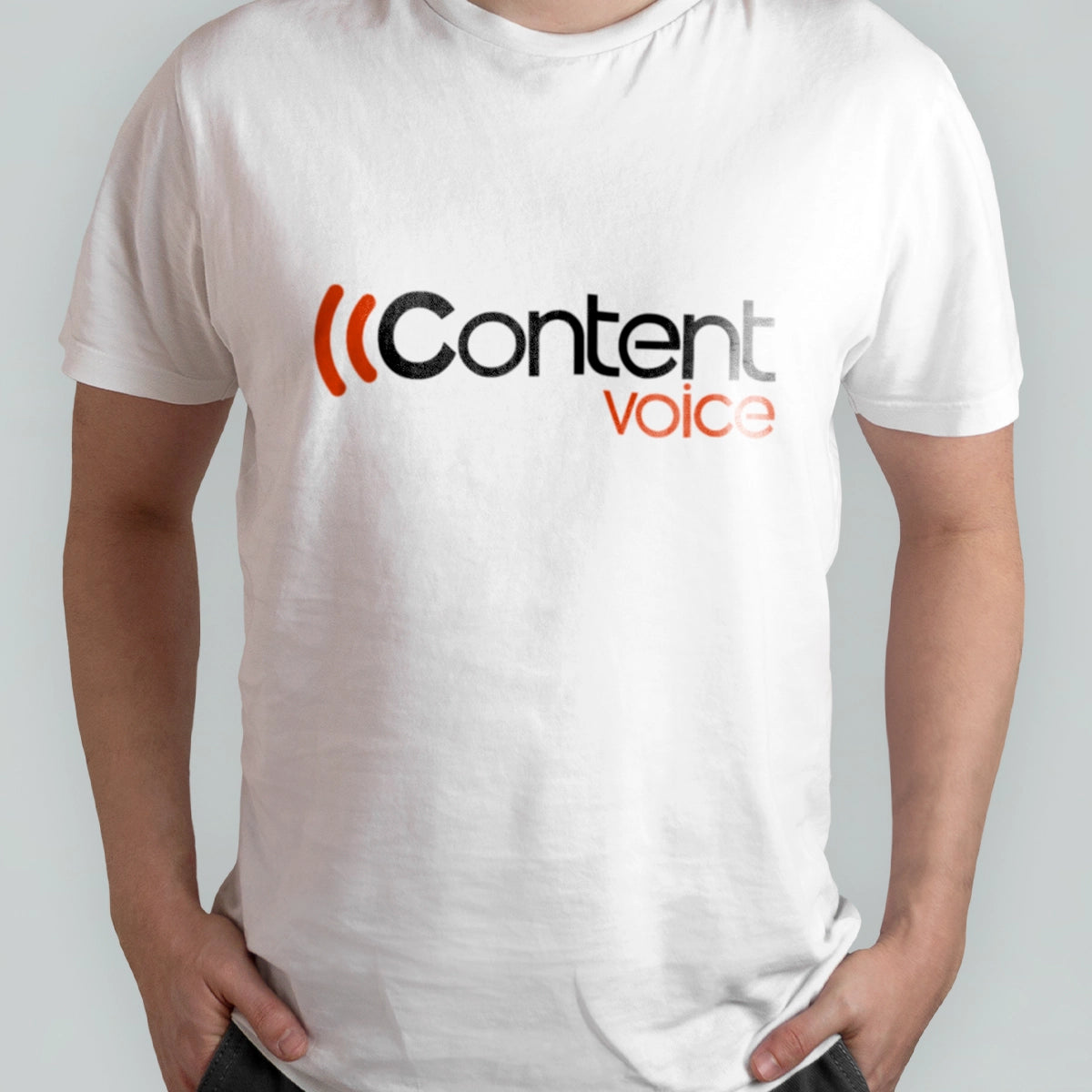 contentvoice.com