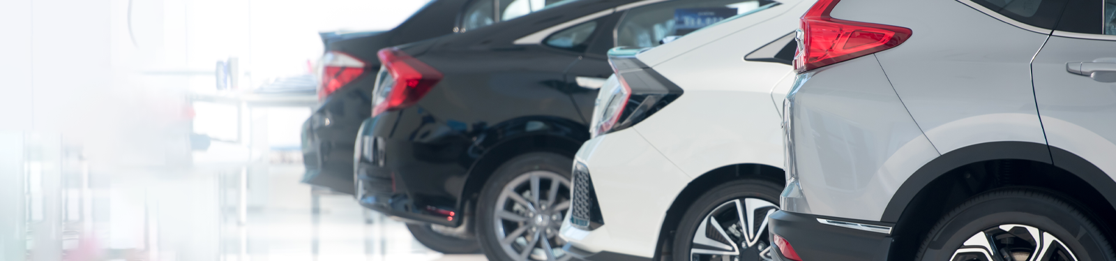 Car rental & Taxi Services