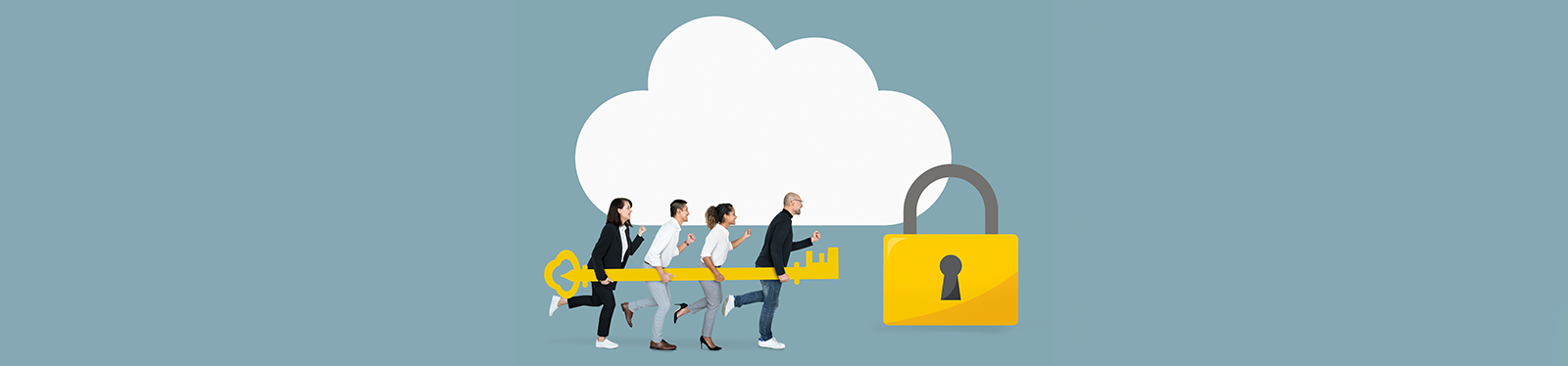 Safety & Security businesses