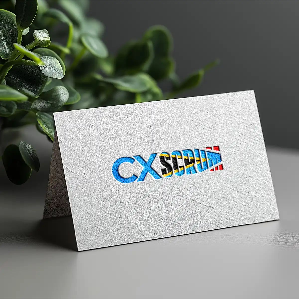 cxscrum.com