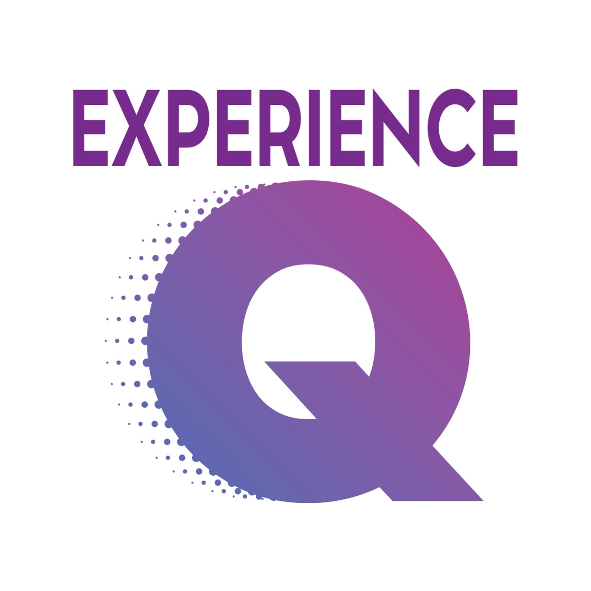 experienceq.com