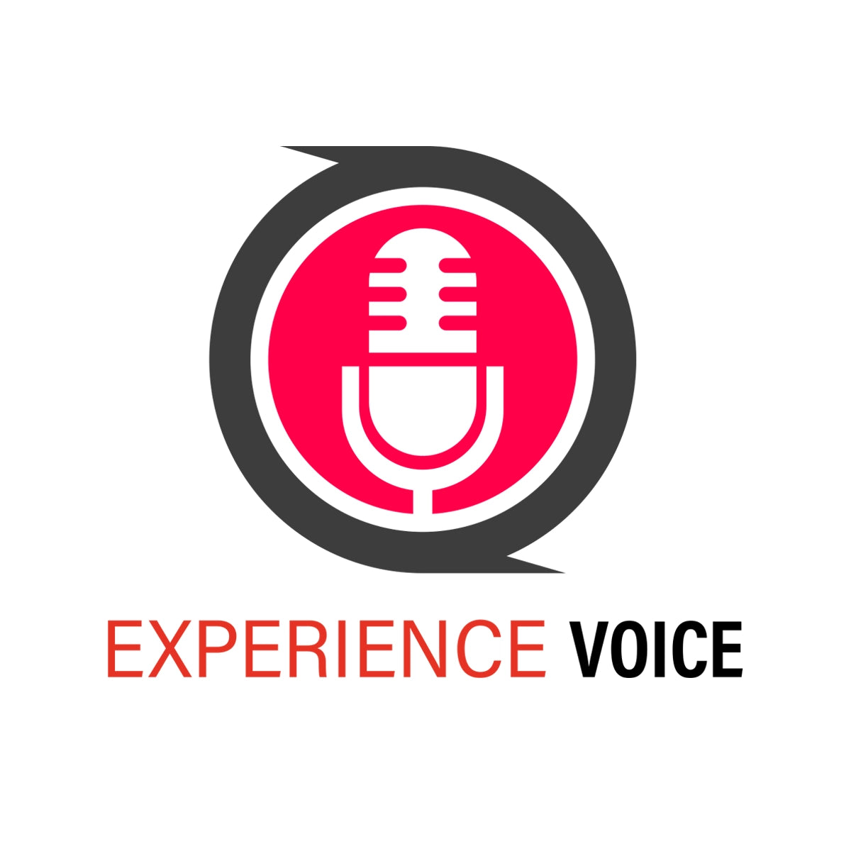 experiencevoice.com