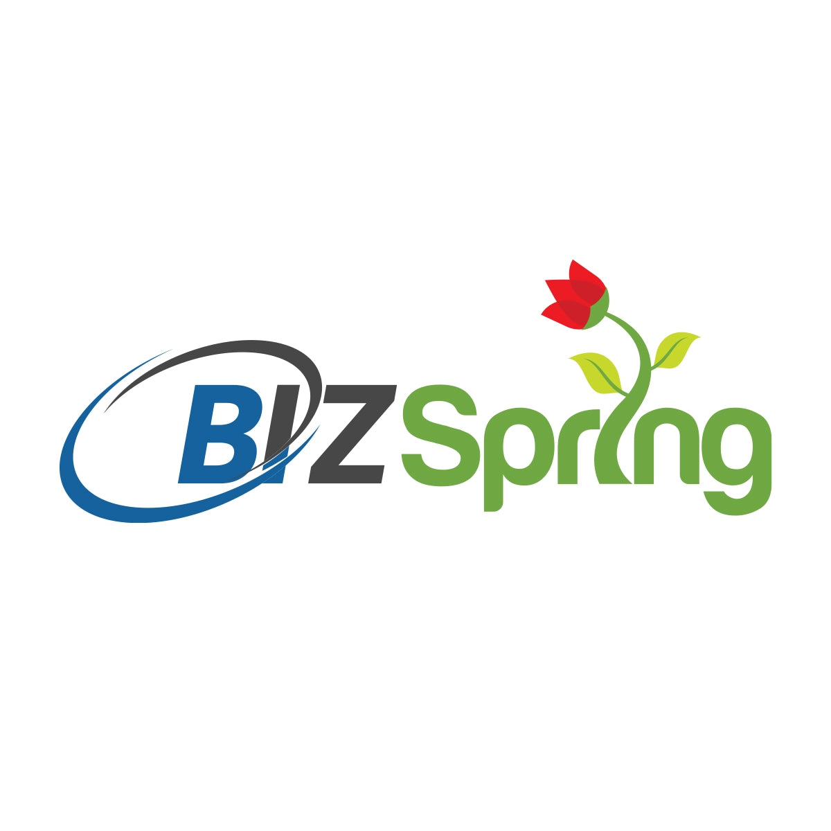 bizspring.xyz