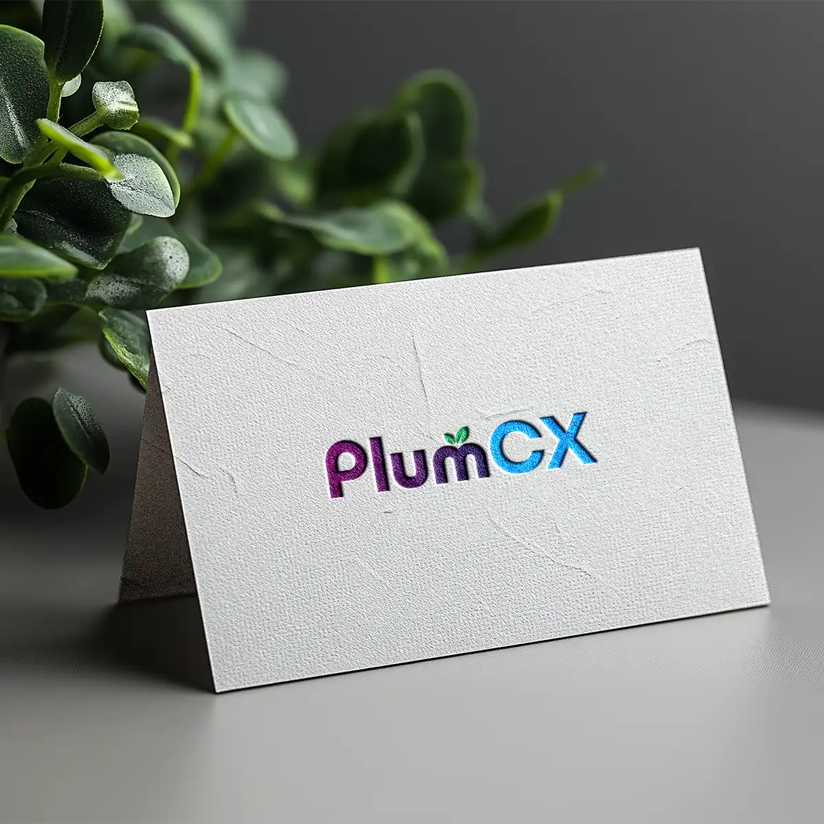 plumcx.com