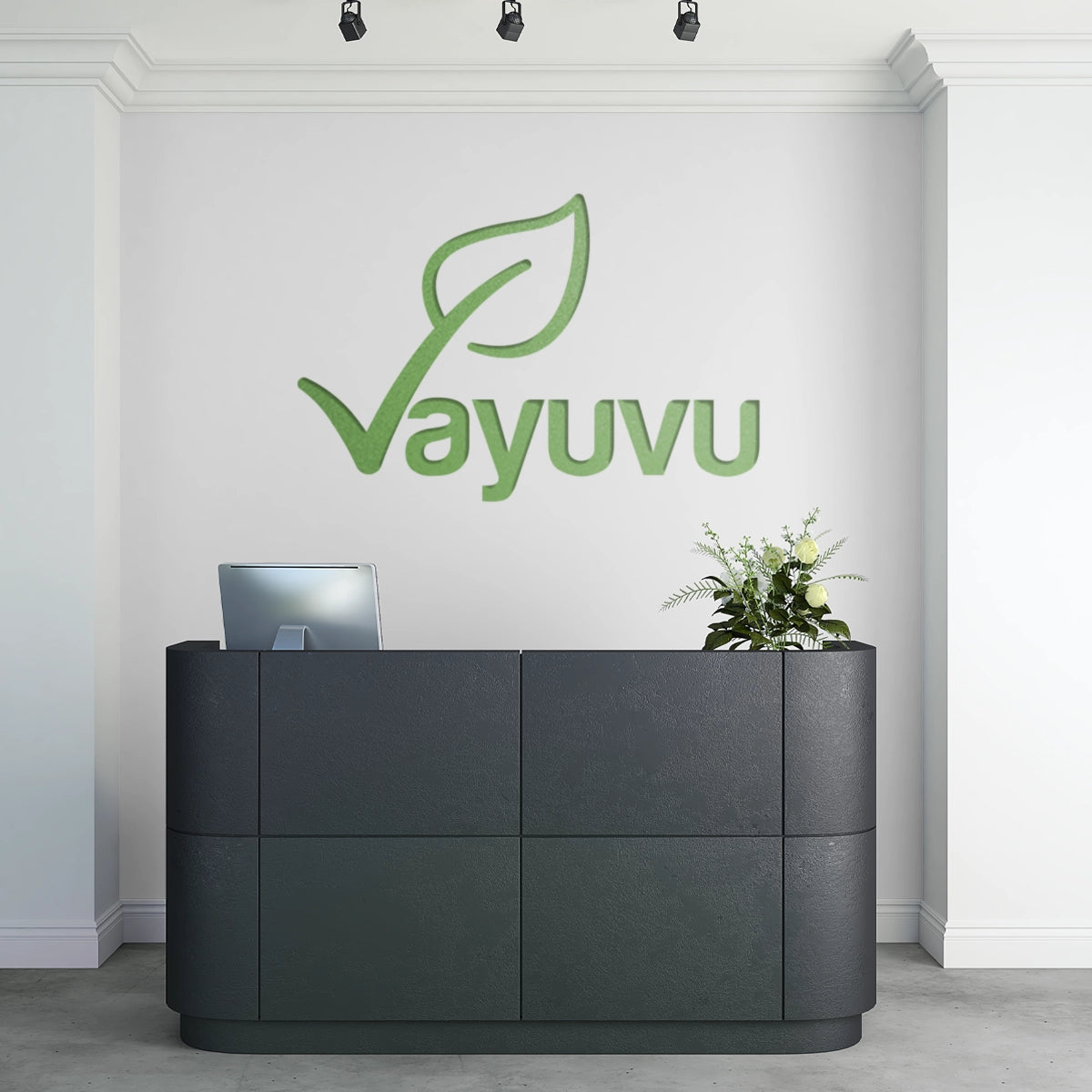 vayuvu.com