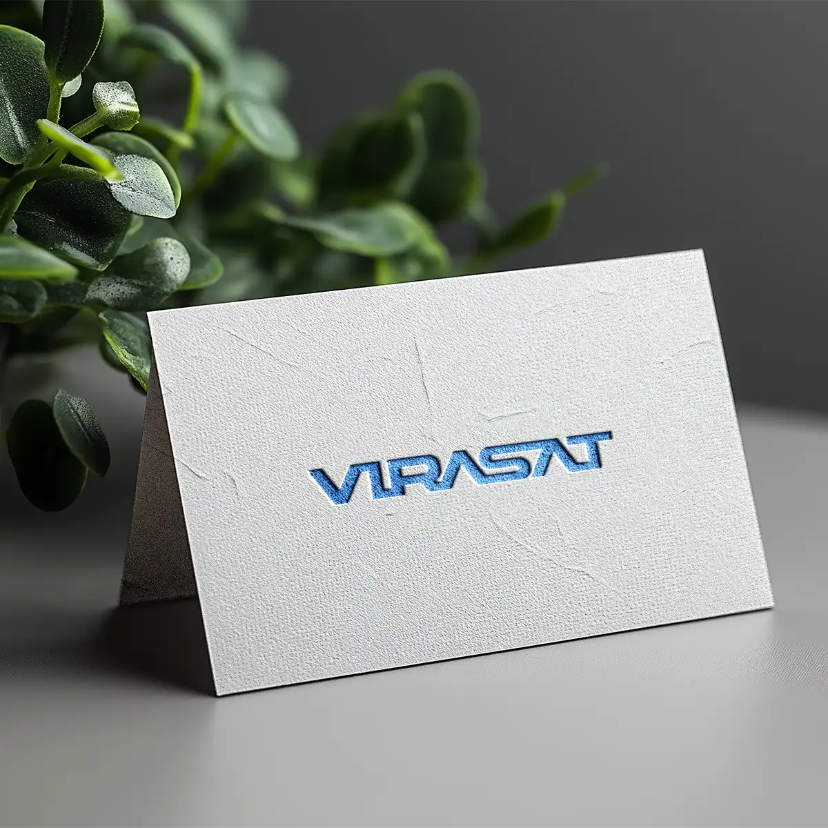 virasat.com