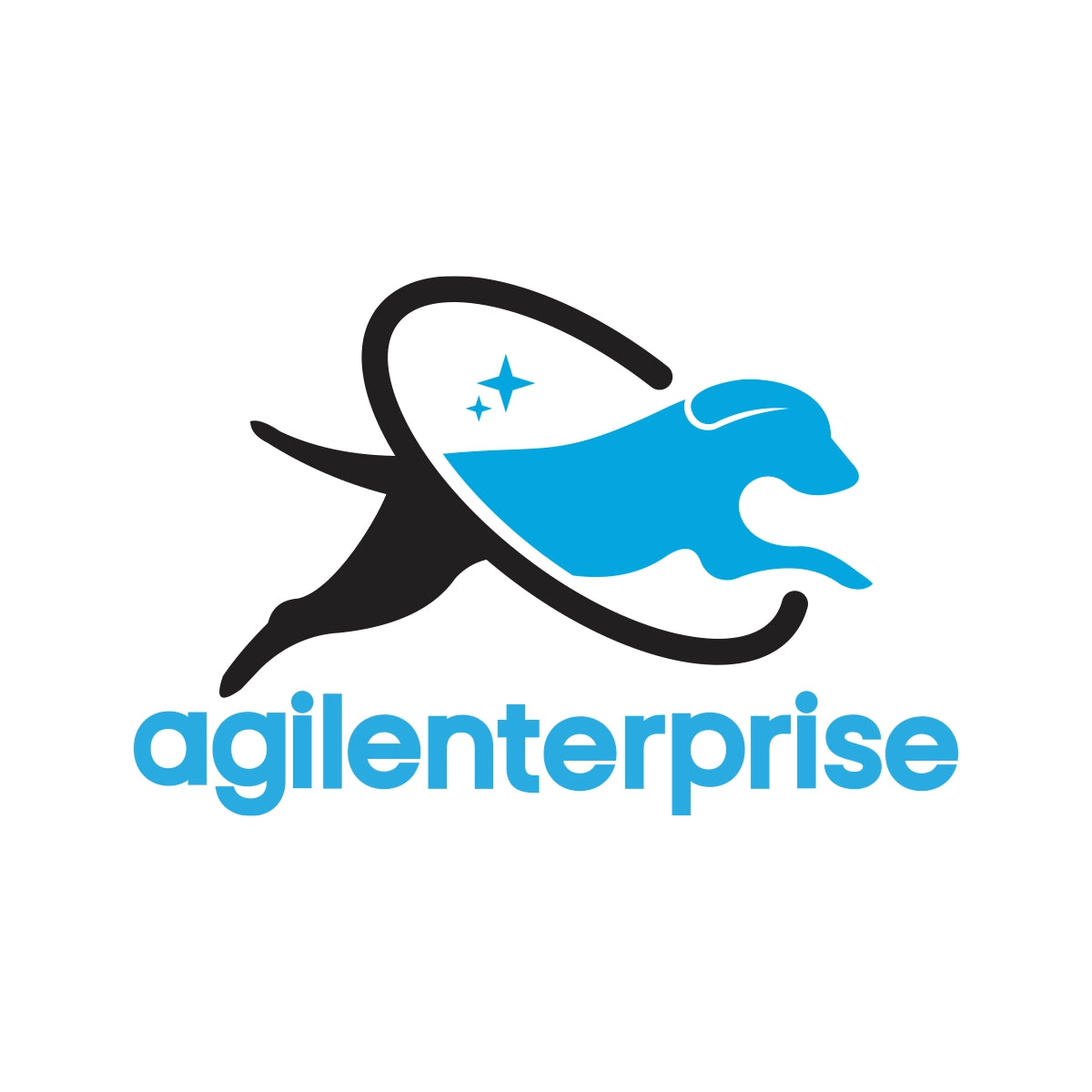 agilenterprise.com