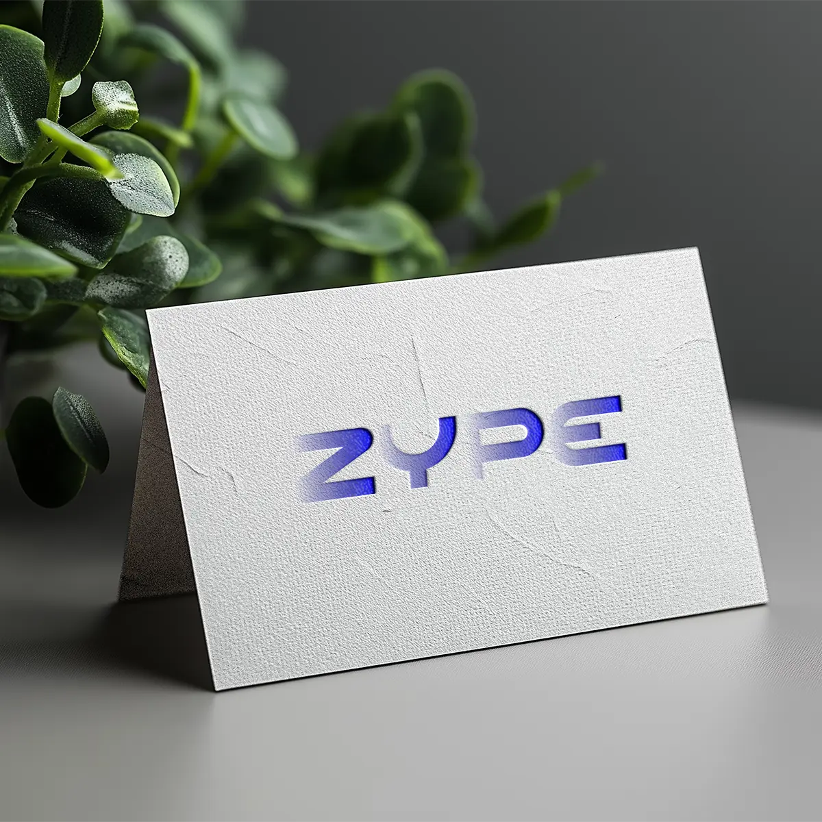 zype.ai