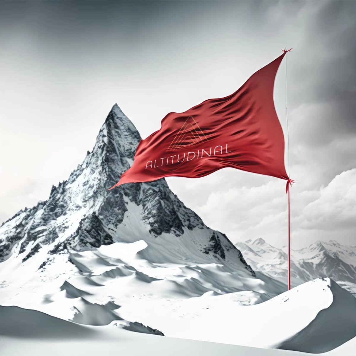 Altitudinal.com