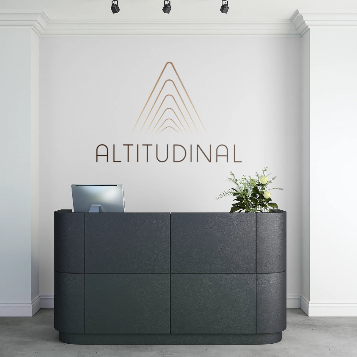 Altitudinal.com