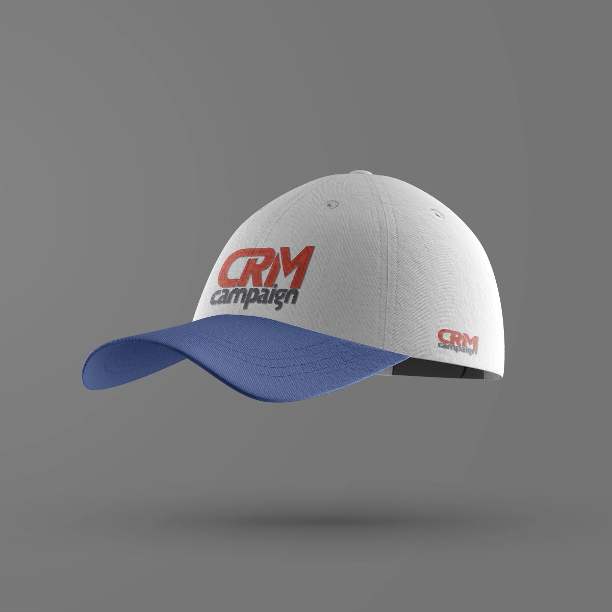 crmcampaign.com
