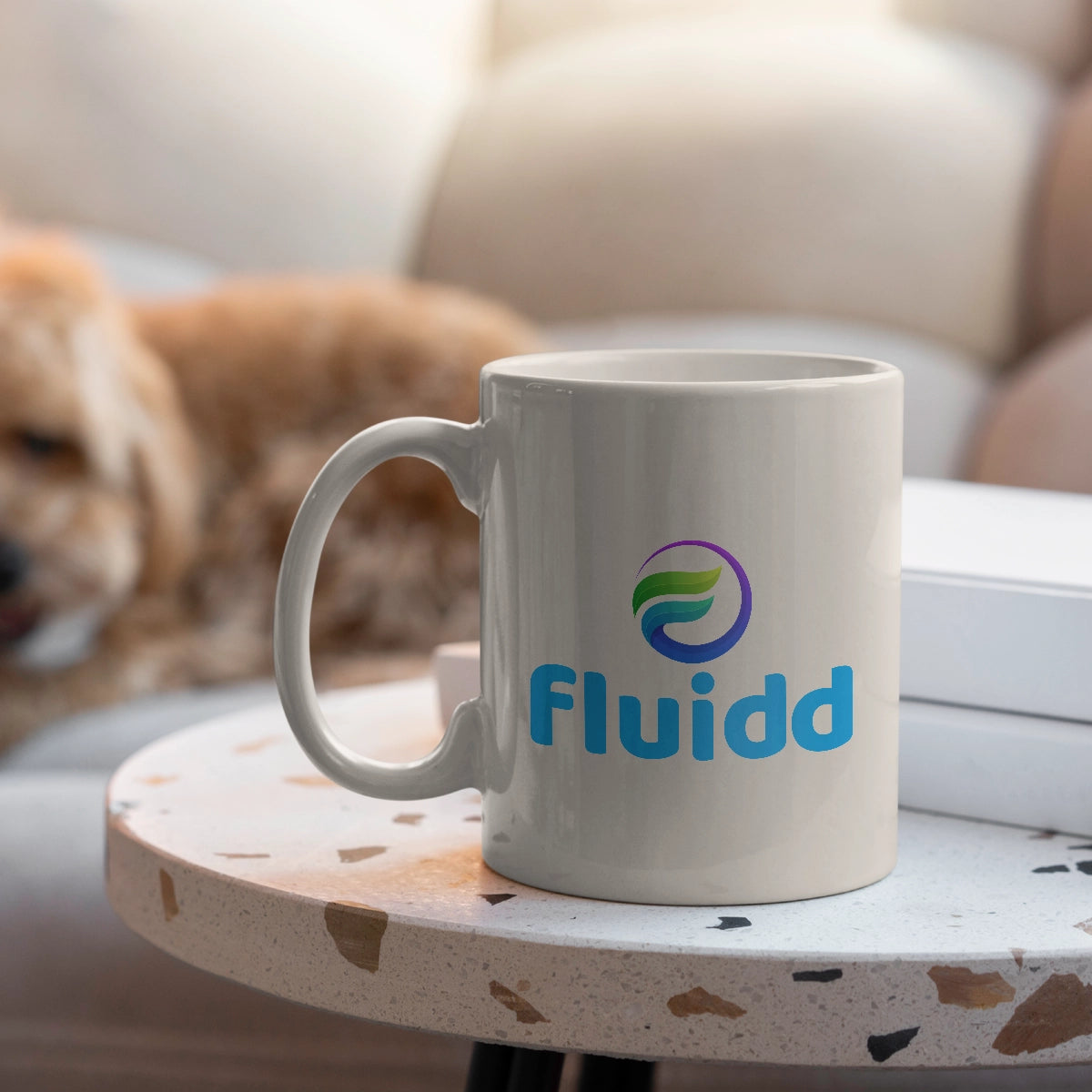 Fluidd.com