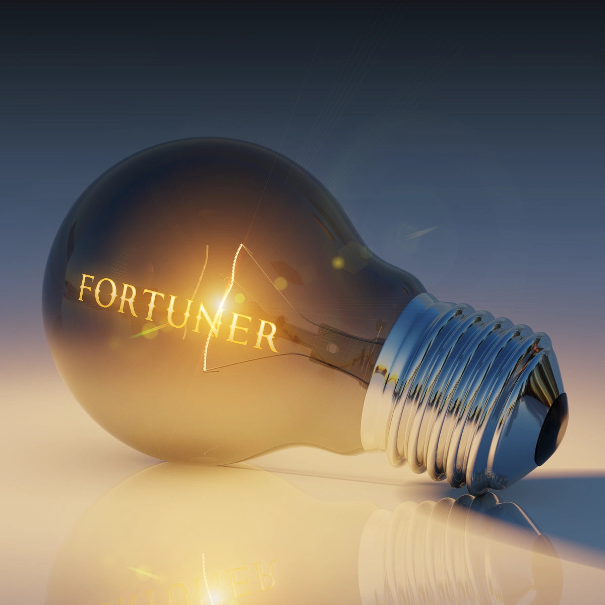 fortuner.info
