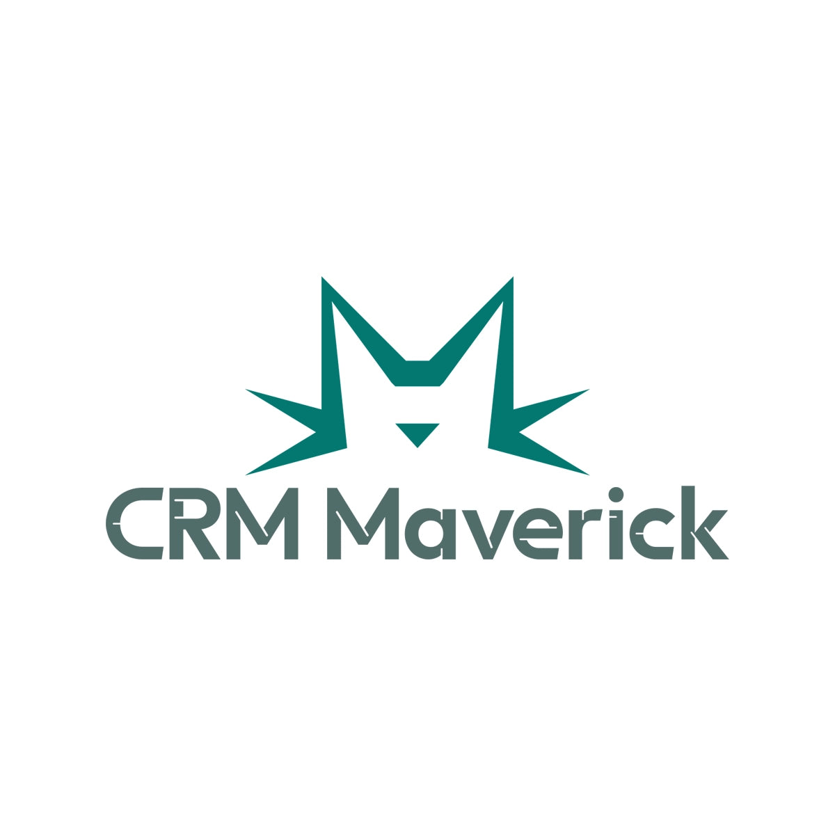 crmmaverick.com