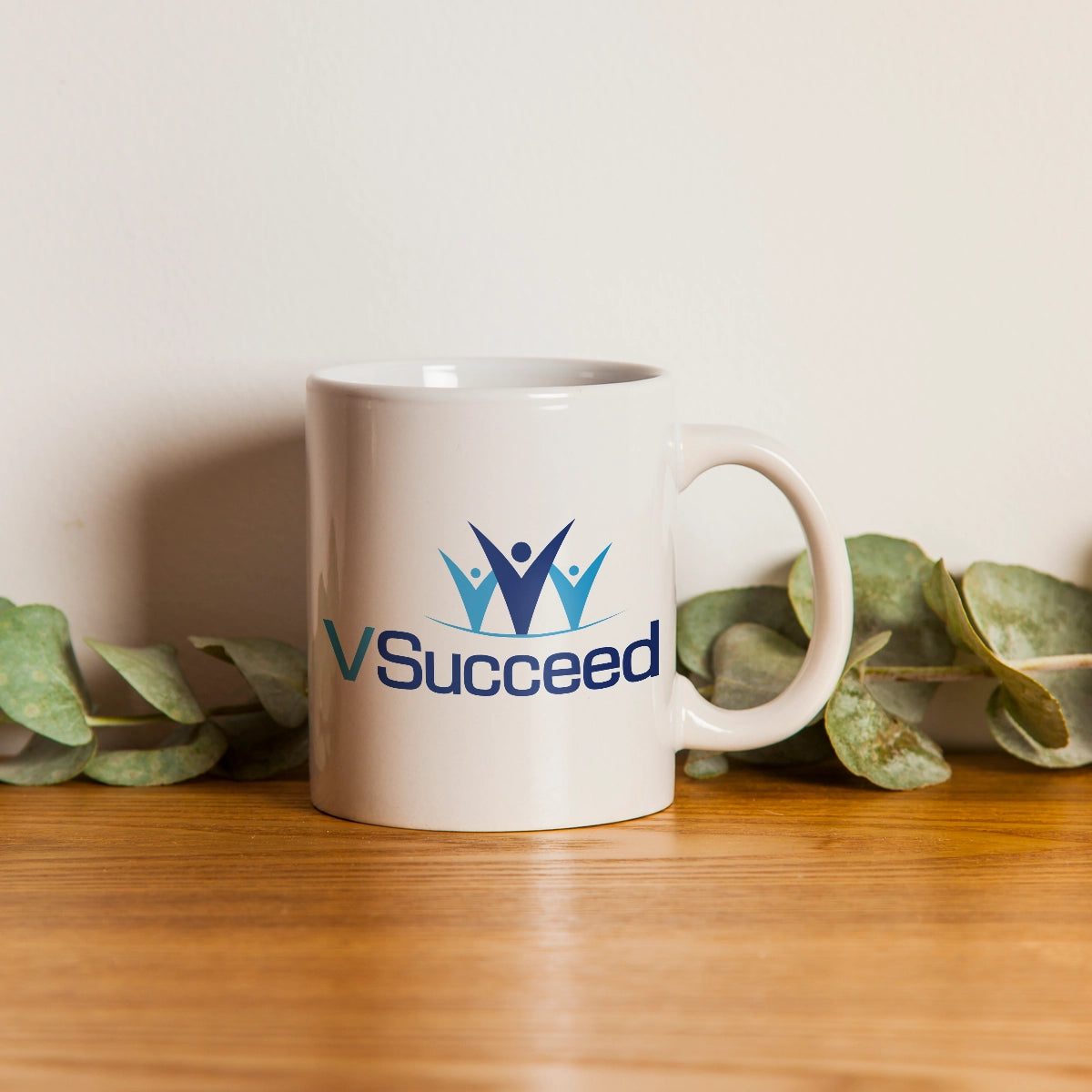 vsucceed.com