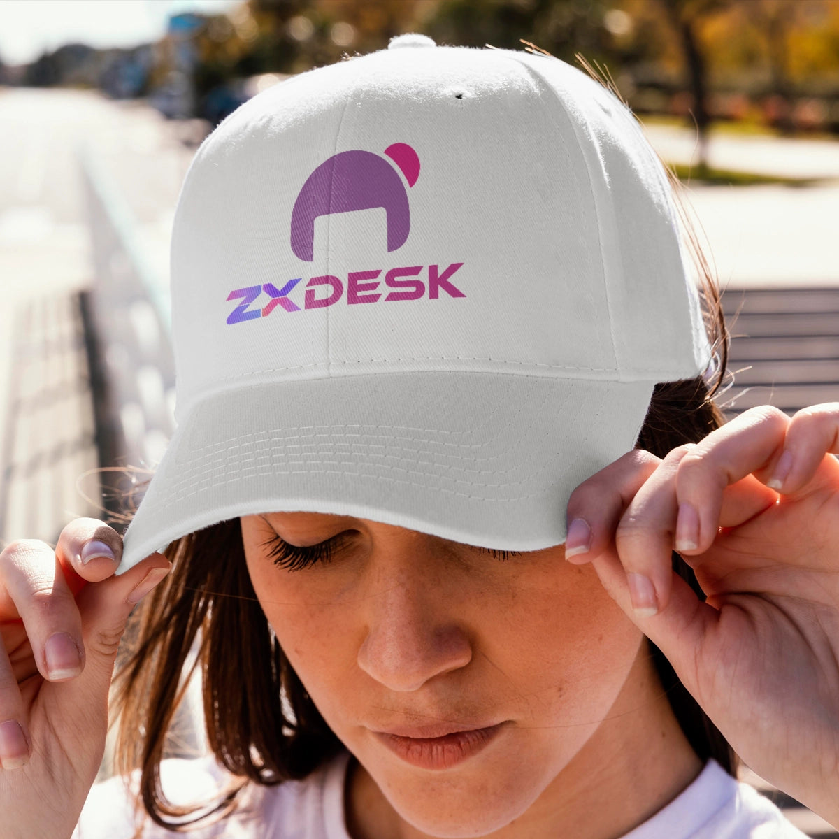 zxdesk.com