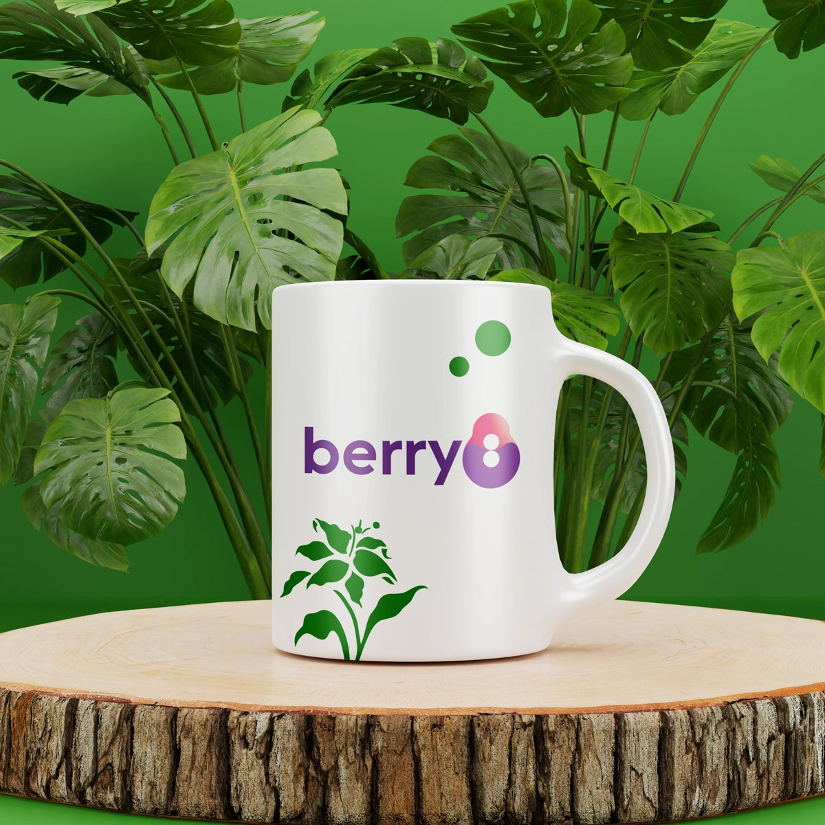 berry8.com